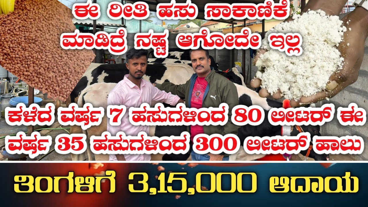6362942293|ಹಸು ಸಾಕಾಣಿಕೆ|cow farming|dairy farming|dairy milk|hasu saakanike|hainugaarke|cow feeds