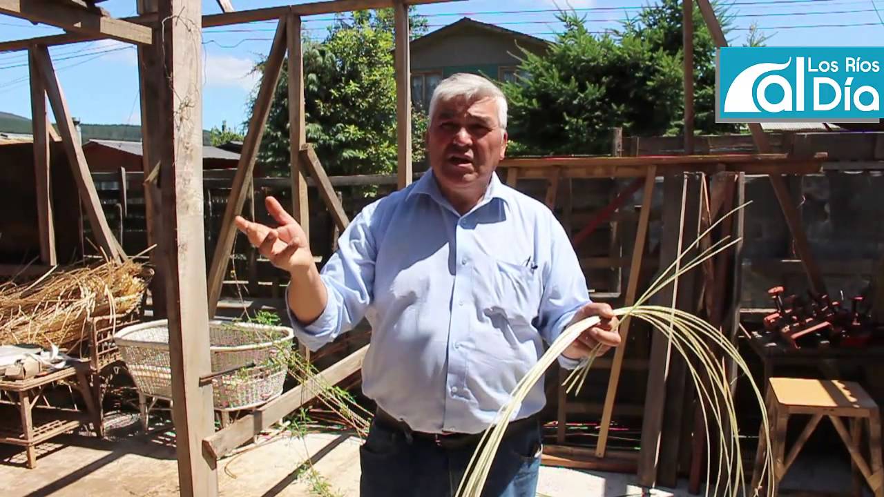 03- ¿como se hace en Los Ríos? Artesanía en Mimbre 