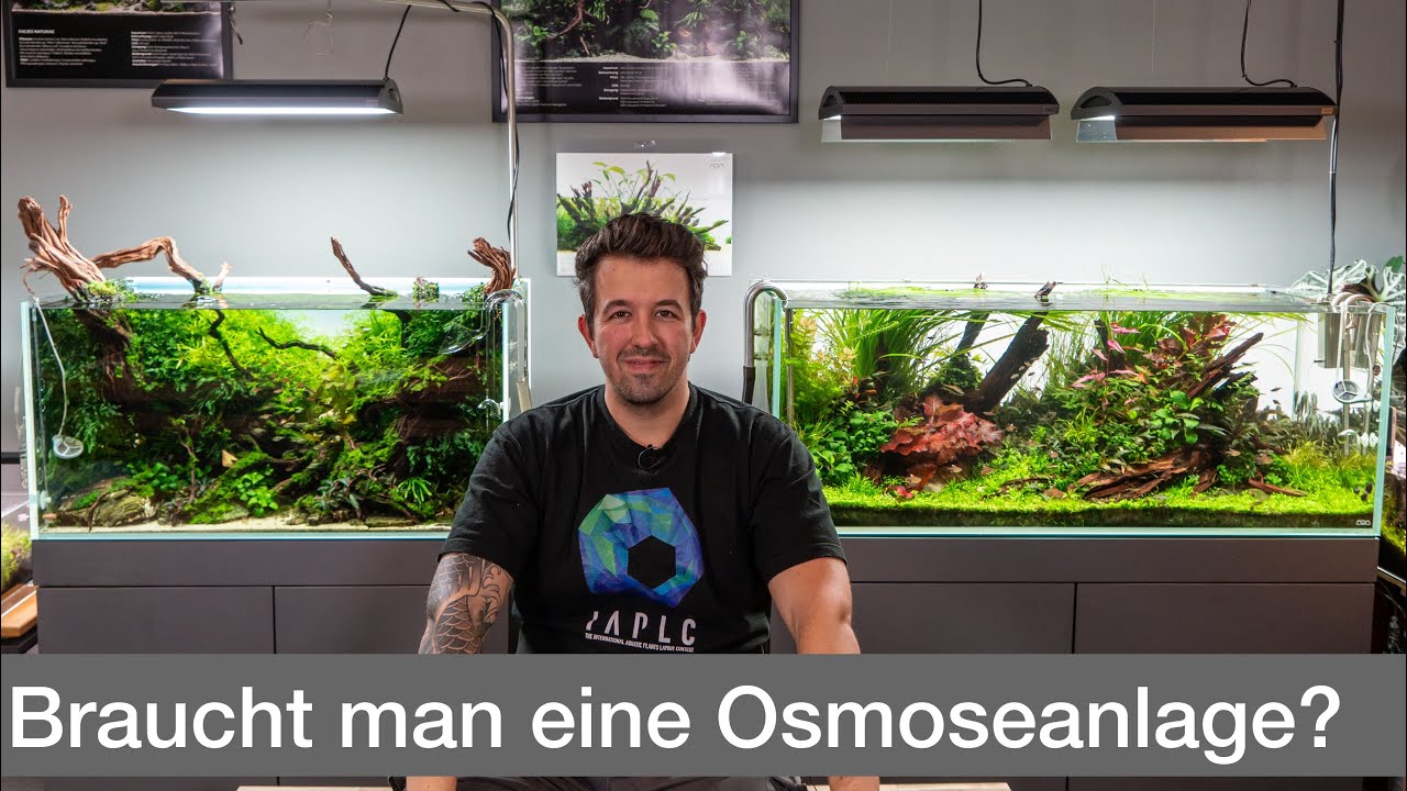 Braucht man Osmosewasser für ein Aquascape? | Liquid Nature