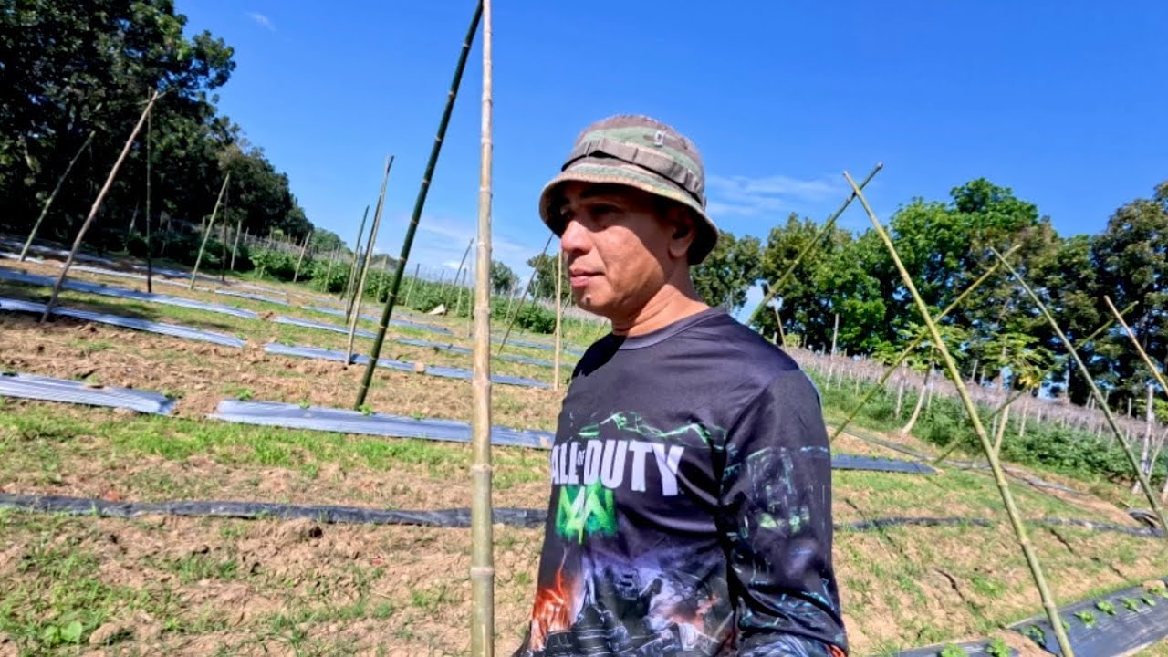 DELIKADO NA LAHAT NG FARM