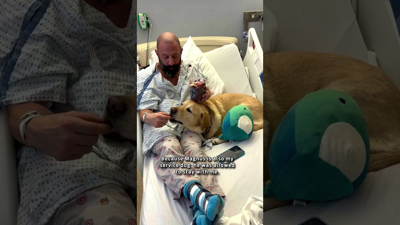 My dog stayed with me in the hospital!