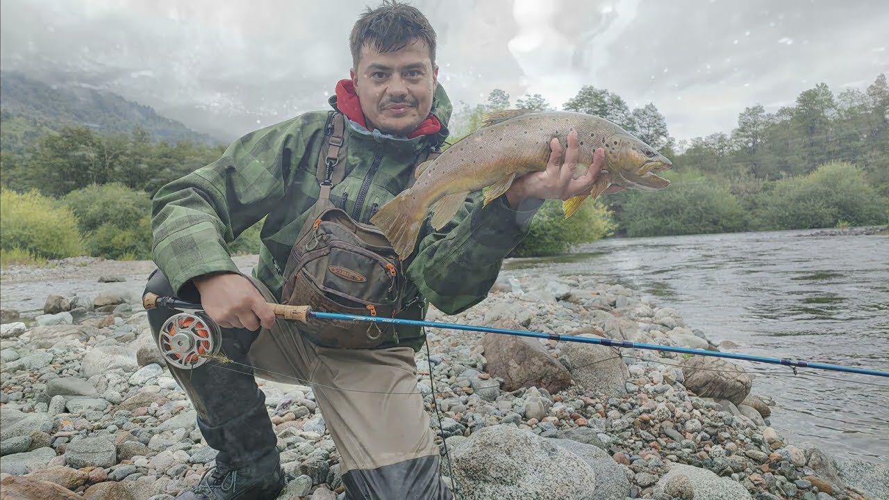 Pesca con Mosca Grandes Marrones en 4k 2160p60 Chile