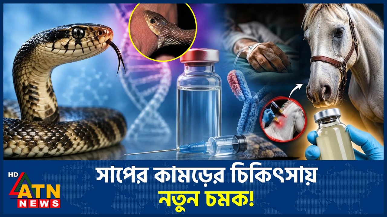 সাপের কামড়ের চিকিৎসায় আসছে যুগান্তকারী নতুন অ্যান্টিভেনম | Snake Bite | Antivenom | ATN News