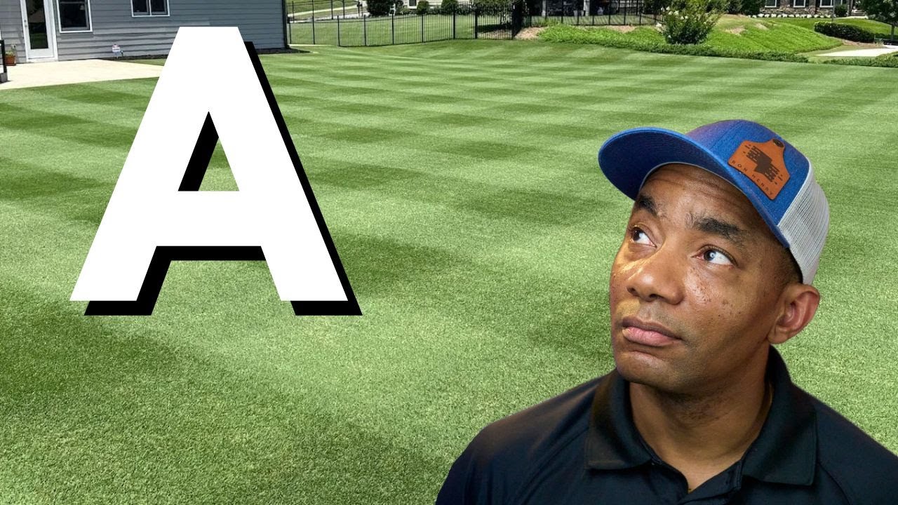 Lawn Care ABCs -  