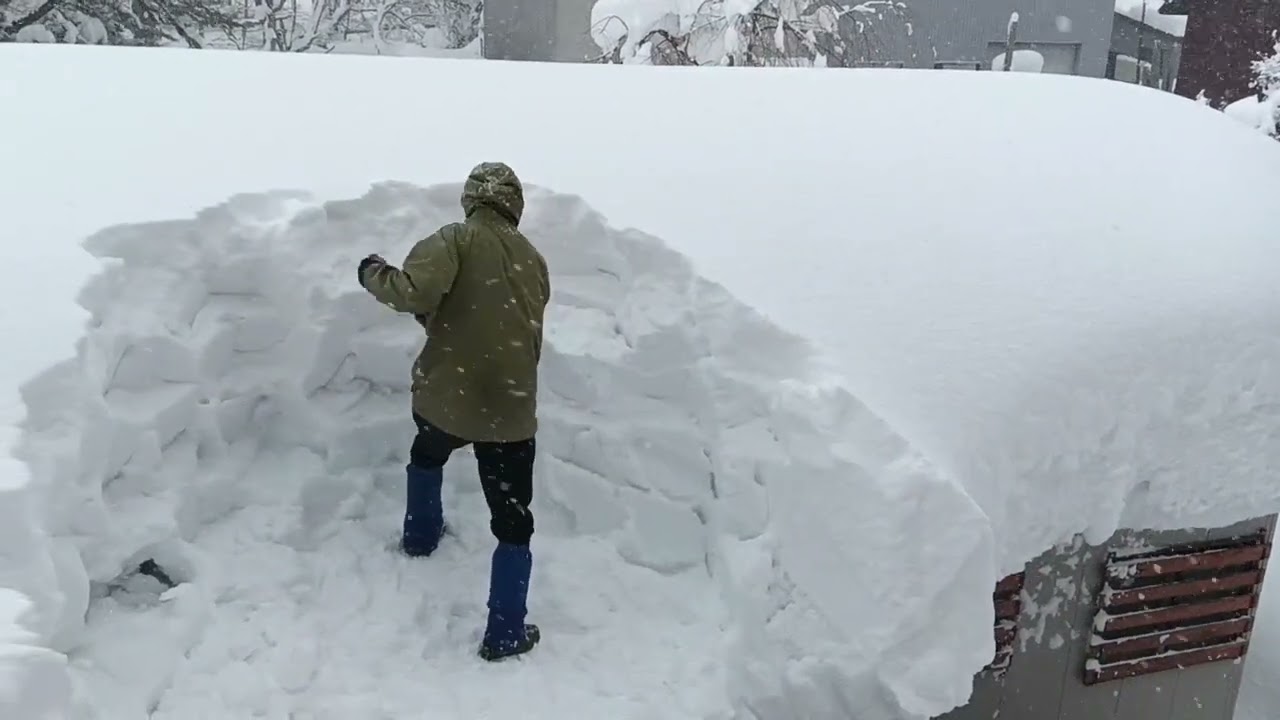 くまさんの雪下ろしツアーへようこそ