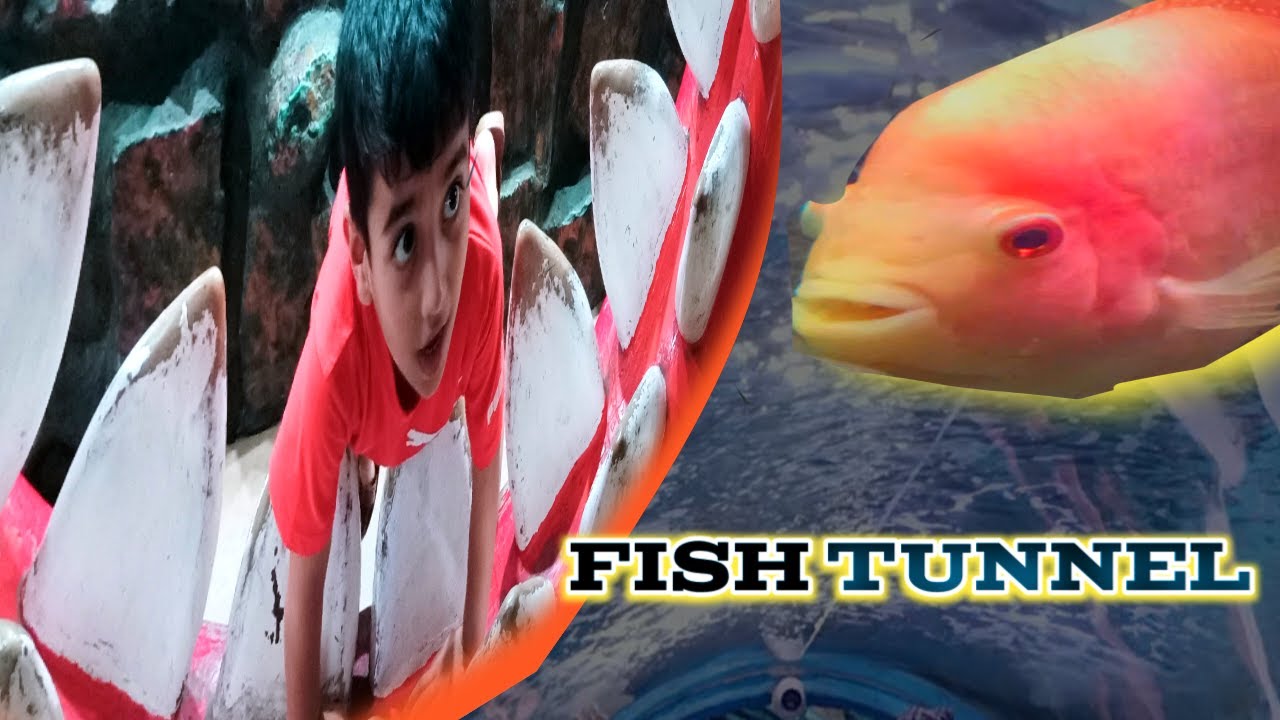 #Mysore fish tunnel🐠🐙🐬🌊#fish tunnel aquarium #underwater tunnel aquarium #mysoreaquarium