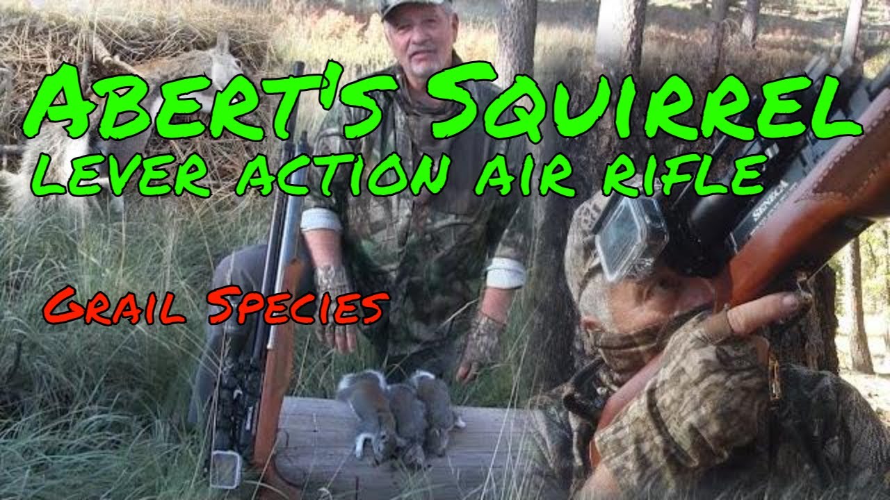 Airgun Hunting I Seneca Eagle Claw I lever action air rifle I Grail Small game Species!