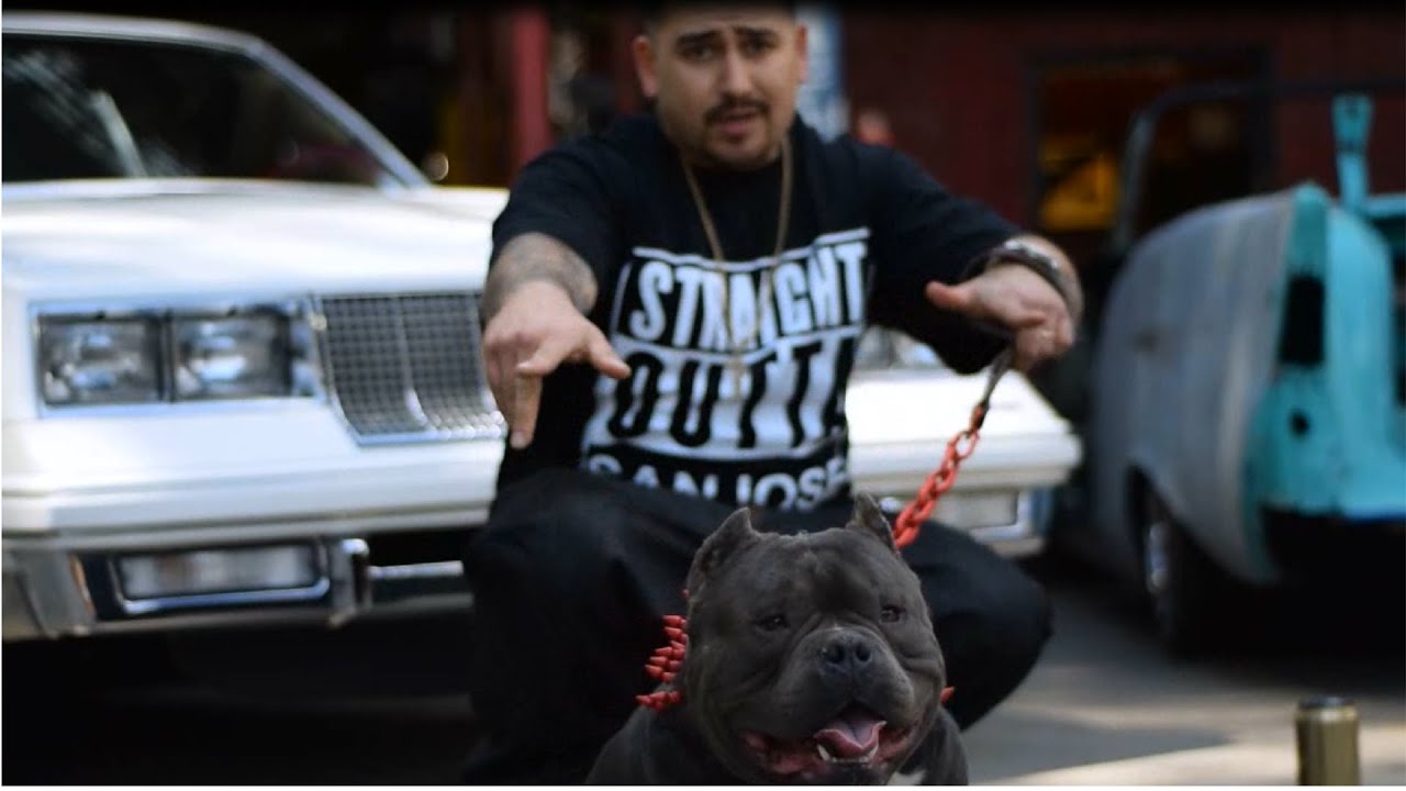 Tc Kapone - I'm That (Official Music Video) 1080p