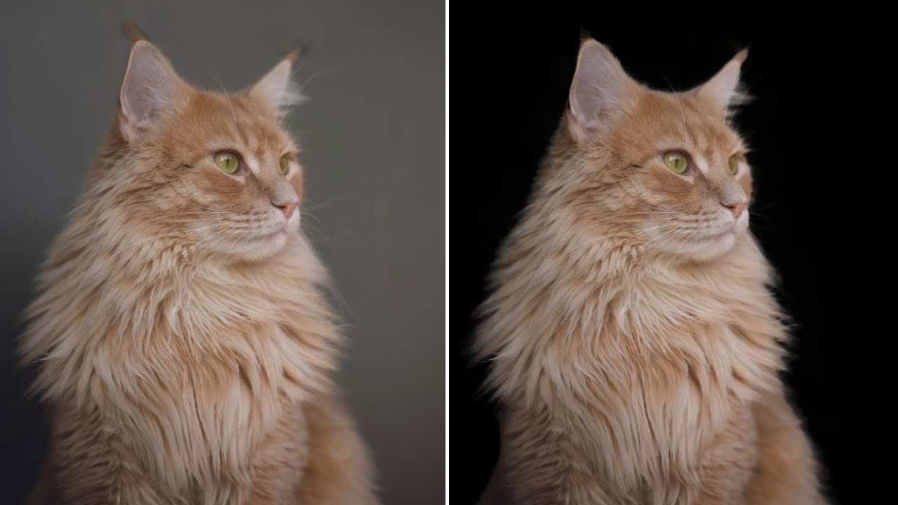 Best Way to SELECT Hair And Fur Precisely in Affinity Photo