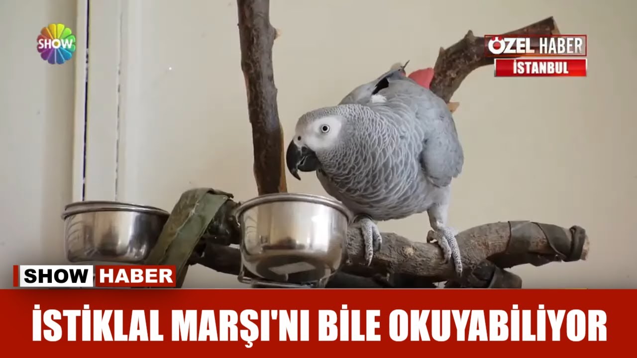 İstiklal Marşı'nı bile okuyabiliyor