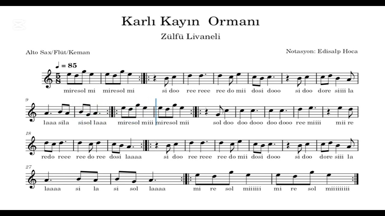 Karlı Kayın Ormanı - Zülfü Livaneli - Alto Sax/Flüt/Keman