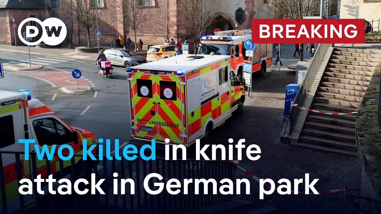 Germany: Two people killed in public park in central city of Aschaffenburg | DW News