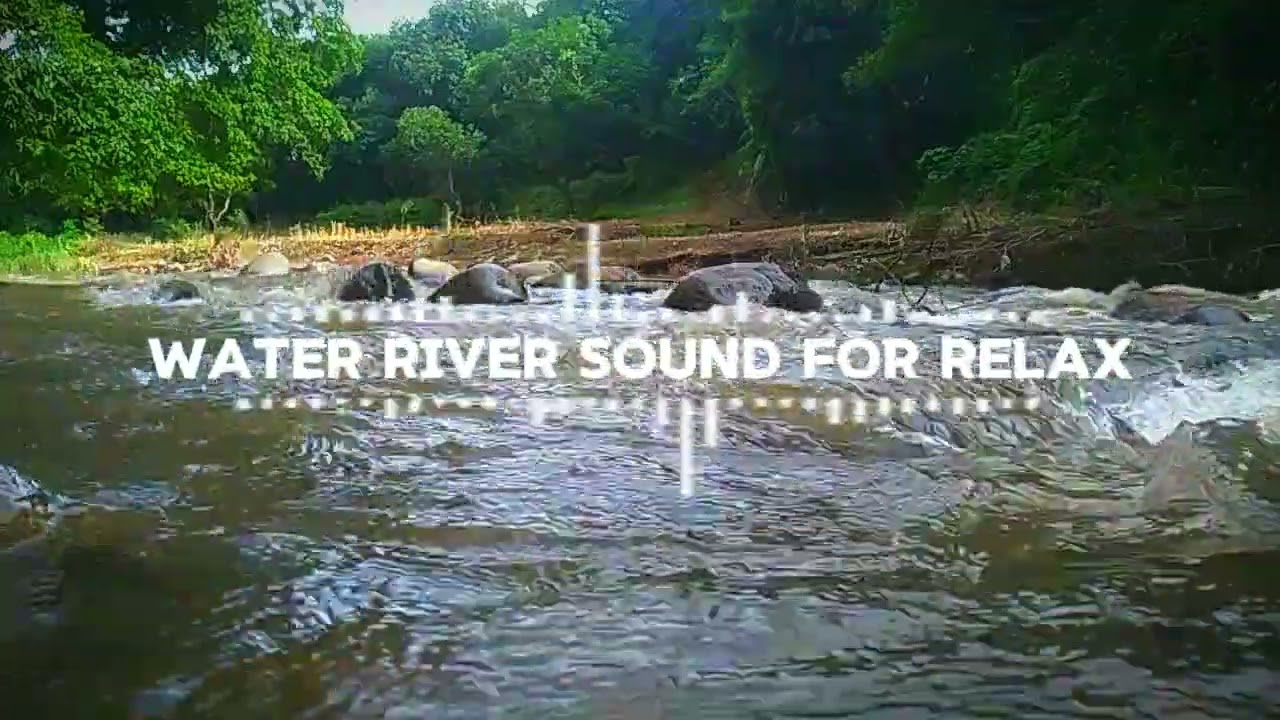 The Sound of River Water in Nature