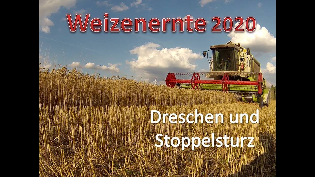 #38 Ernte und Stoppelsturz 2020 | Claas Lexion | IHC 744 am Grubbern | #OIM