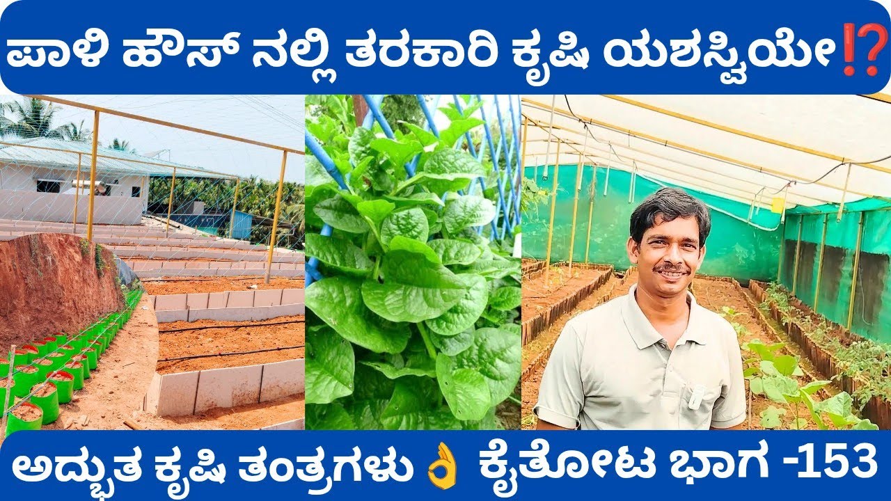 ನಿರಂತರ ಲಾಭದಾಯಕವಾಗಿ ತರಕಾರಿ ಕೃಷಿ ಆವಿಷ್ಕಾರ‼️ ಸಾವಯವ ಕೃಷಿಗೆ ಹೊಸ ದಿಕ್ಕು ಕೊಟ್ಟ ಉದಯಶಂಕರ ಭಟ್ @ಕಲ್ಲಡ್ಕ ಬಂಟ್ವಾಳ