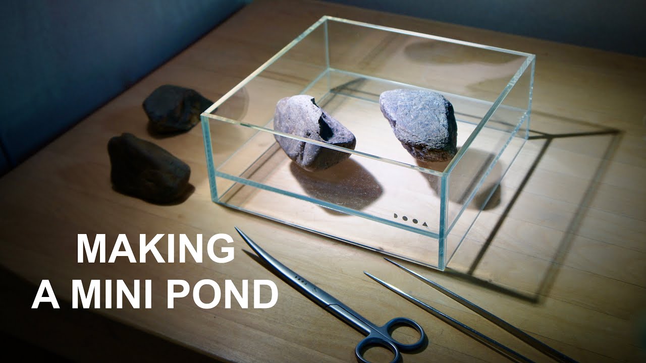 Making a Mini Japanese Style Pond in DOOA Neo Glass Air H8