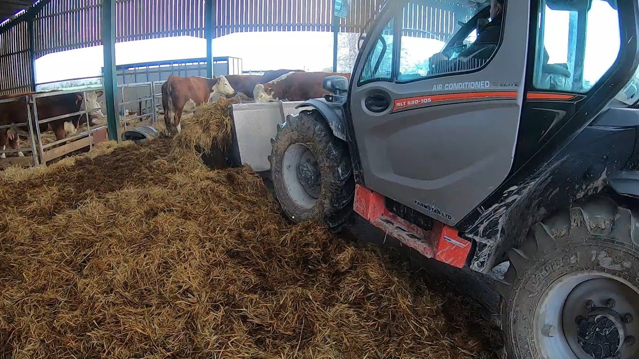 Новый год, часть 2