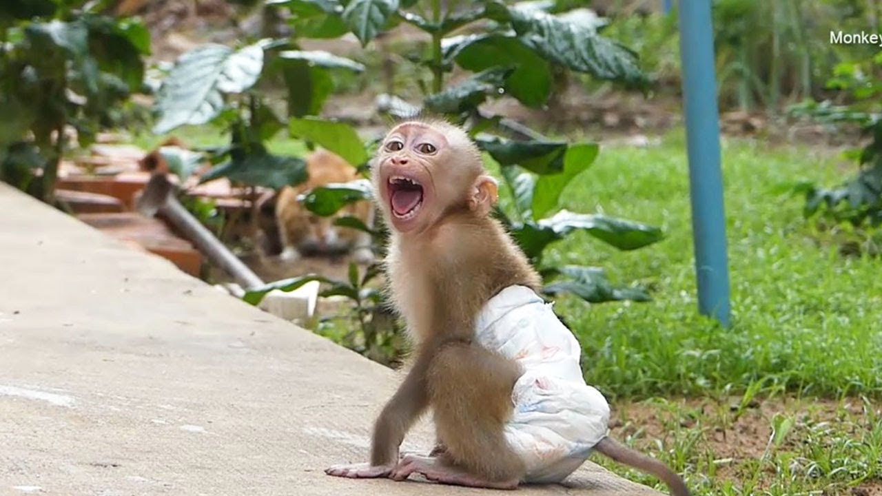 Donal Cry Loudly Want To Dry Clothes At Upstairs With Mom