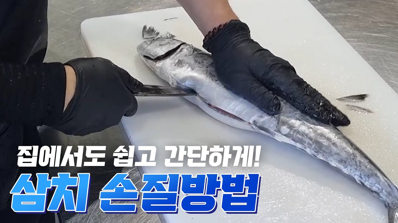 삼치 손질 겁먹지마세요 너무 쉽습니다