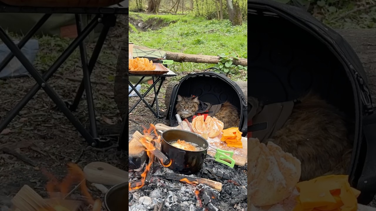 🔥Camping with cat and cooking crispy food #campingwithpet #cookinginwoods #asmr