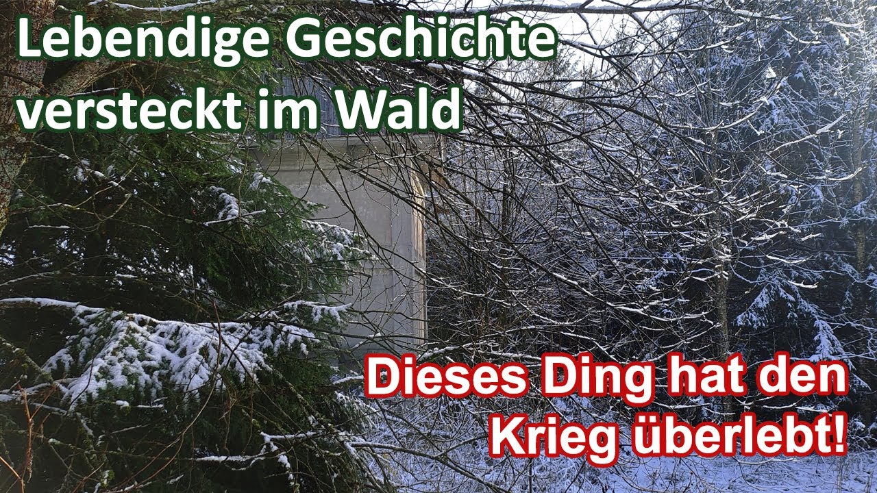 Verfallene Gebäude am Waldrand - Wetterschacht Marienstein