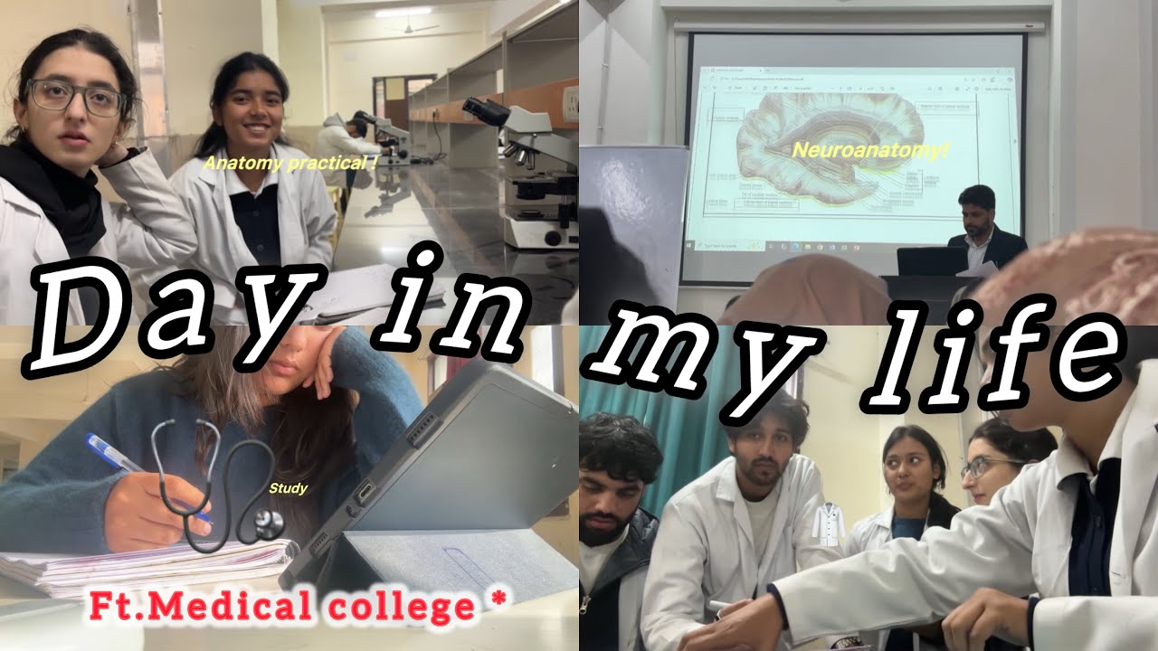 Day in the life  of first year medical student ! 