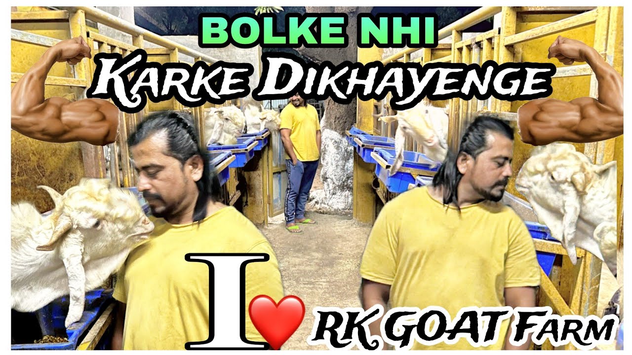 RK GOAT FARM FULL TOUR and some important discussion with Faisal Bhai