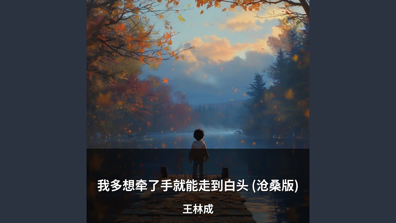 我多想牵了手就能走到白头 (沧桑版)