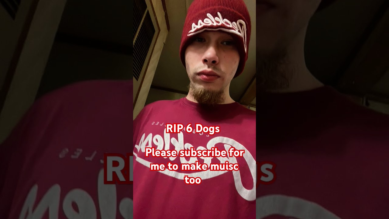 Someone 6 Dogs #music #rap #someone #someone3 #6dogs #6dogstypebeat @6Dogsgnarly