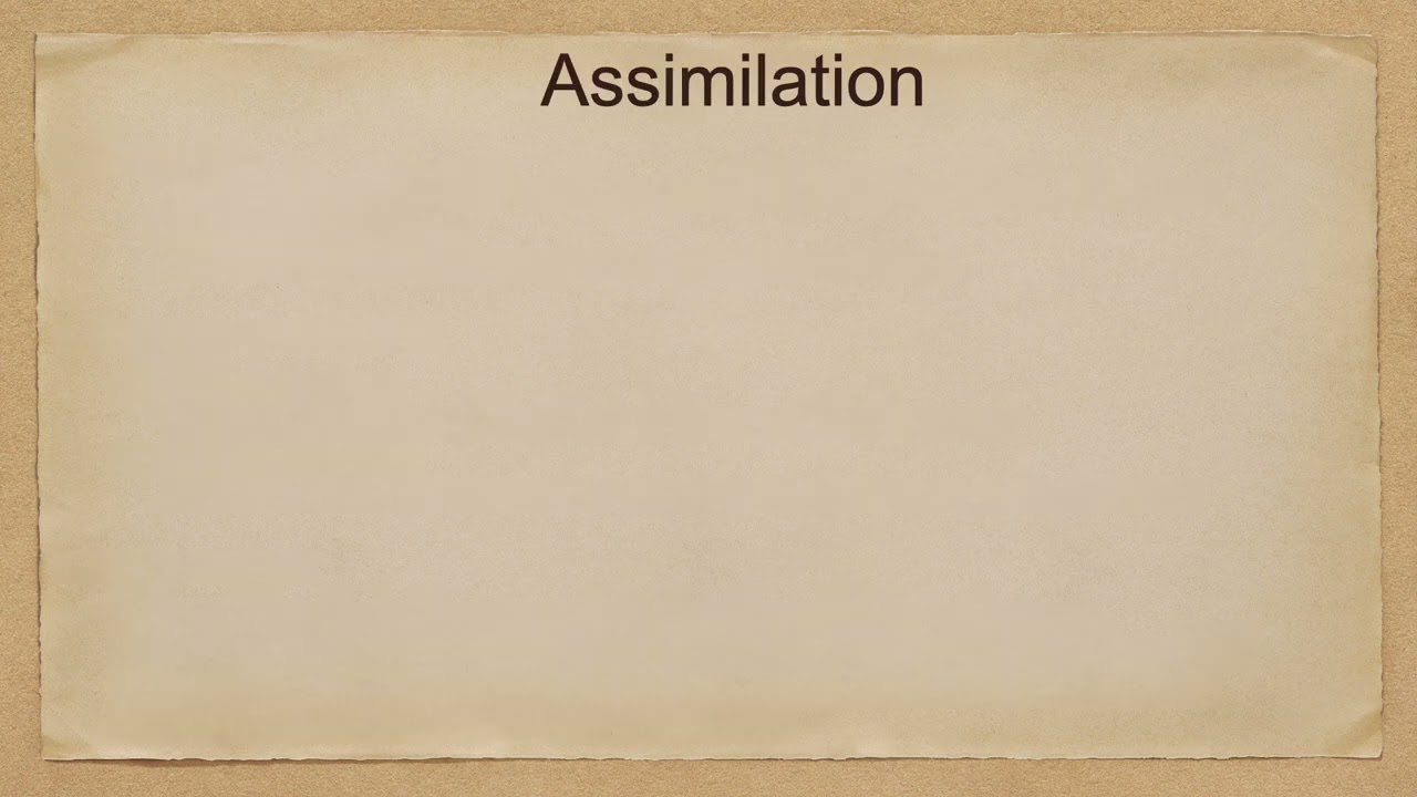 Segregation, integration och assimilering