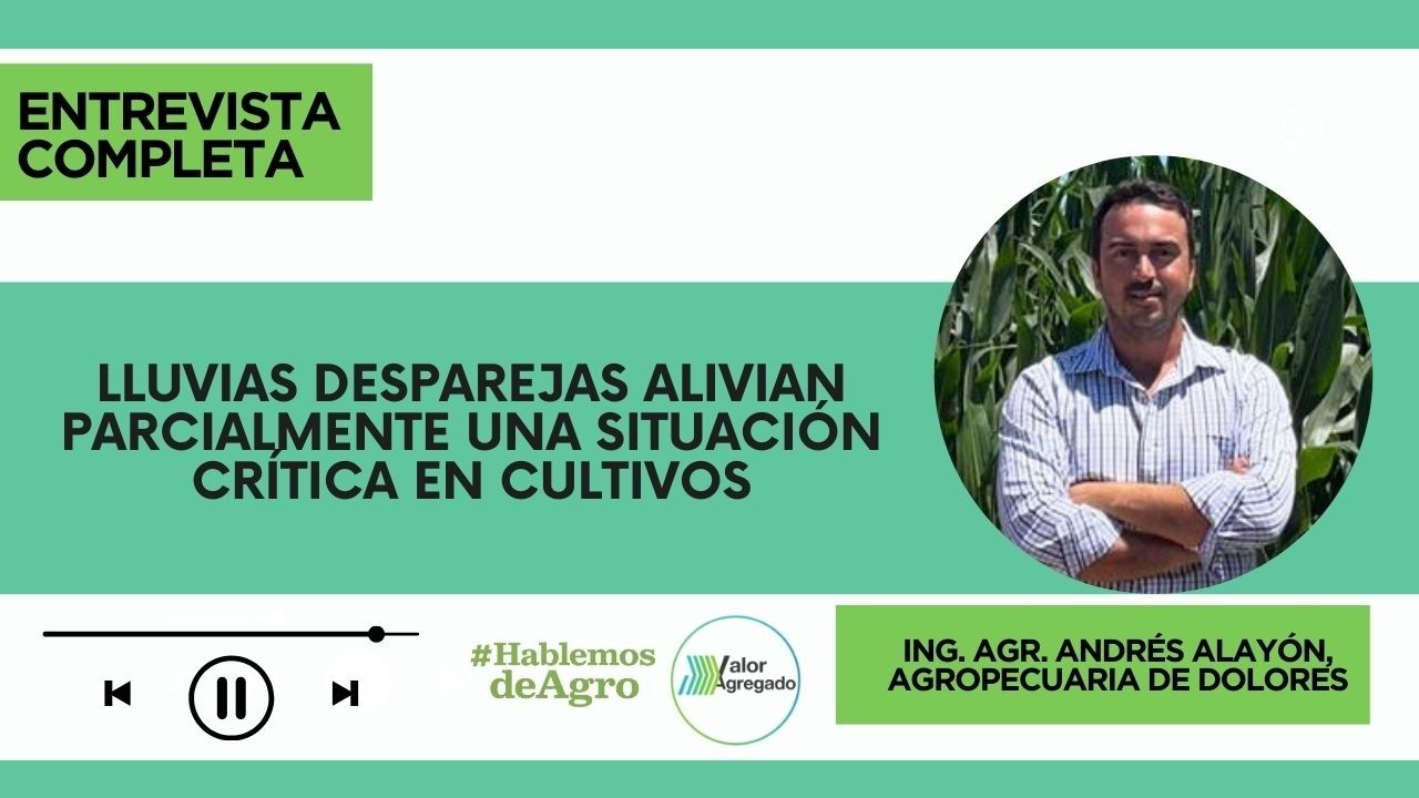 Ing  Agr  Andrés Alayón, Presidente Agropecuaria de Dolores