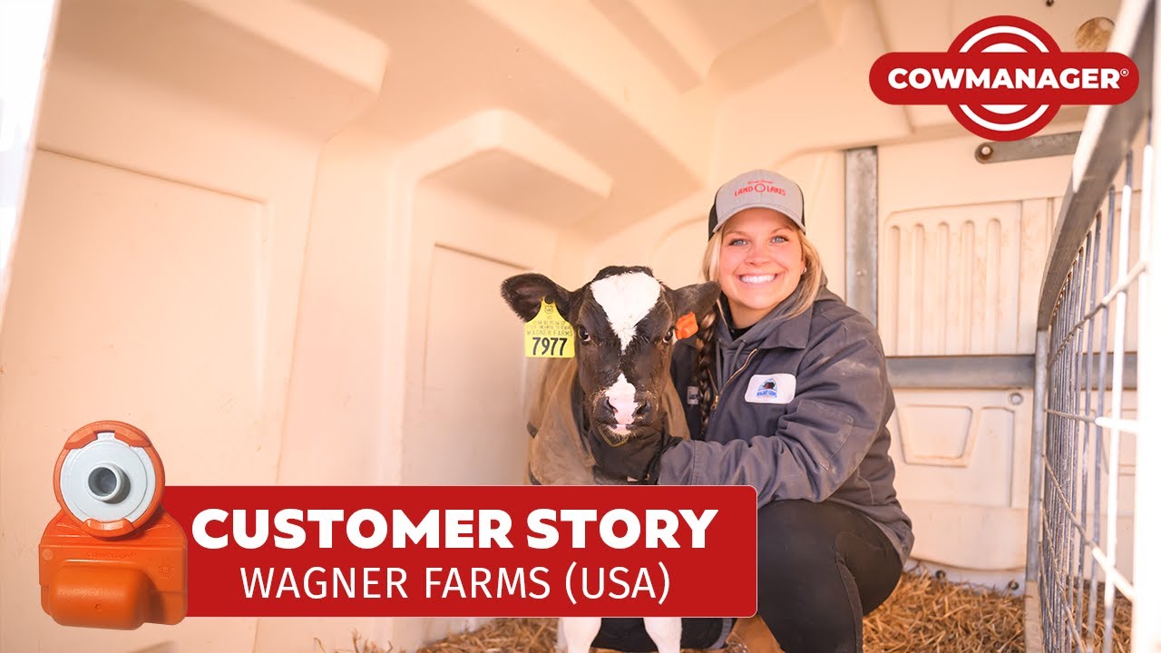 How Wagner Farms Takes Calf Health to the Next Level 🚀 | CowManager Youngstock Monitor