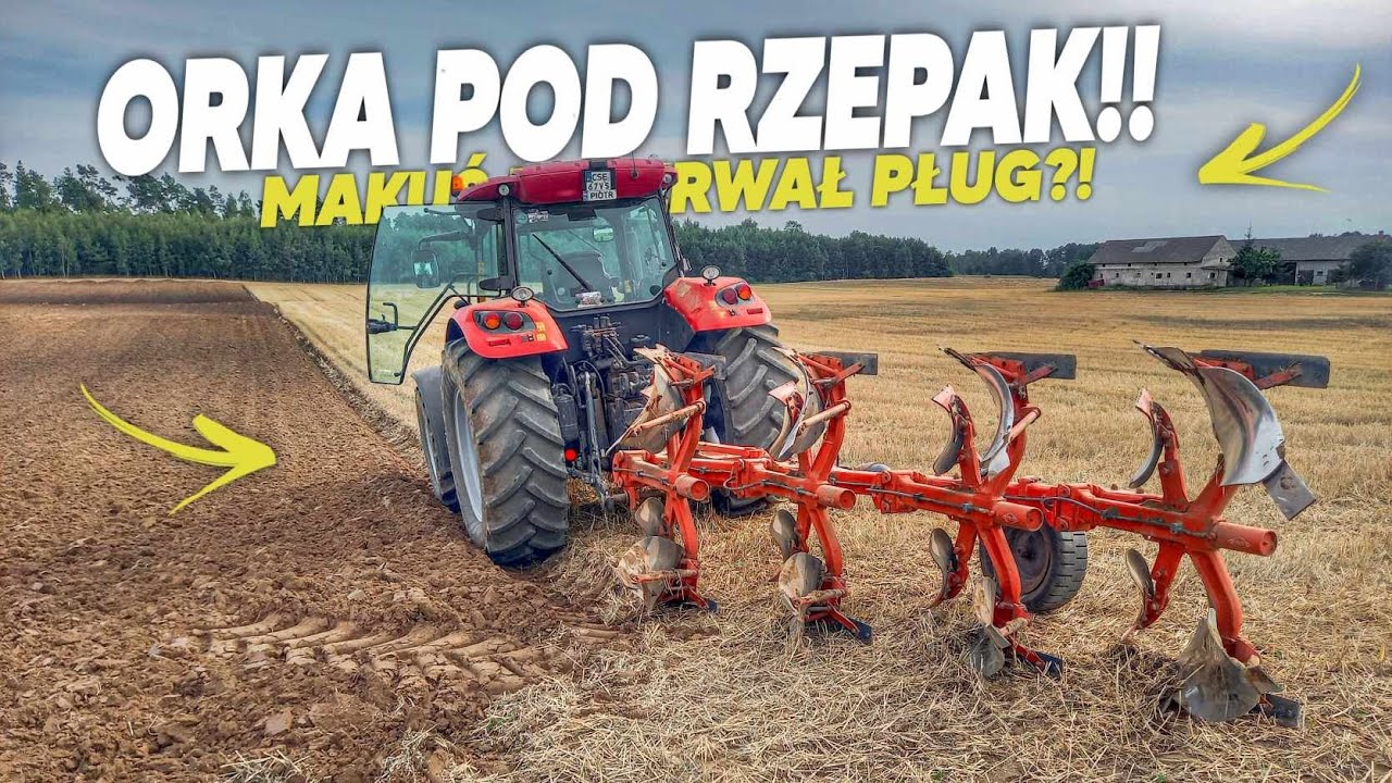 Orka pod Rzepak!?🔥Zadowolony z Pługa! NIEMENÓWKA#62