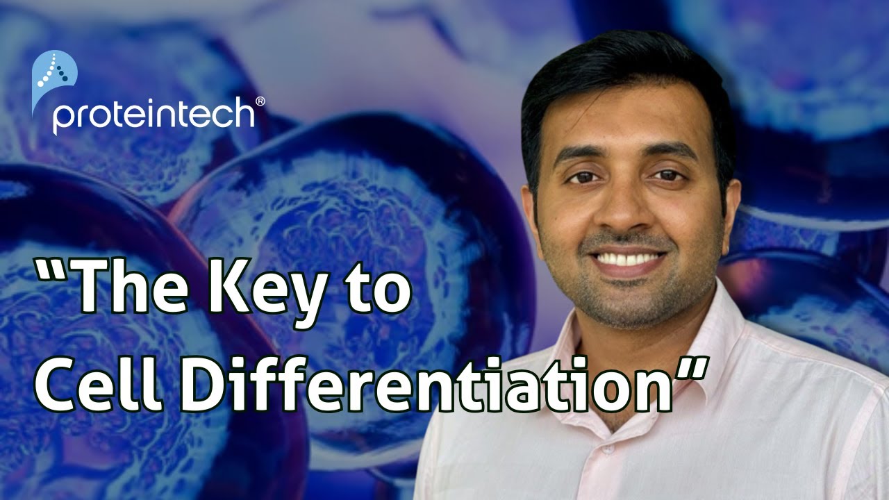 Cell Differentiation Workshop: The Importance of Growth Factor Quality