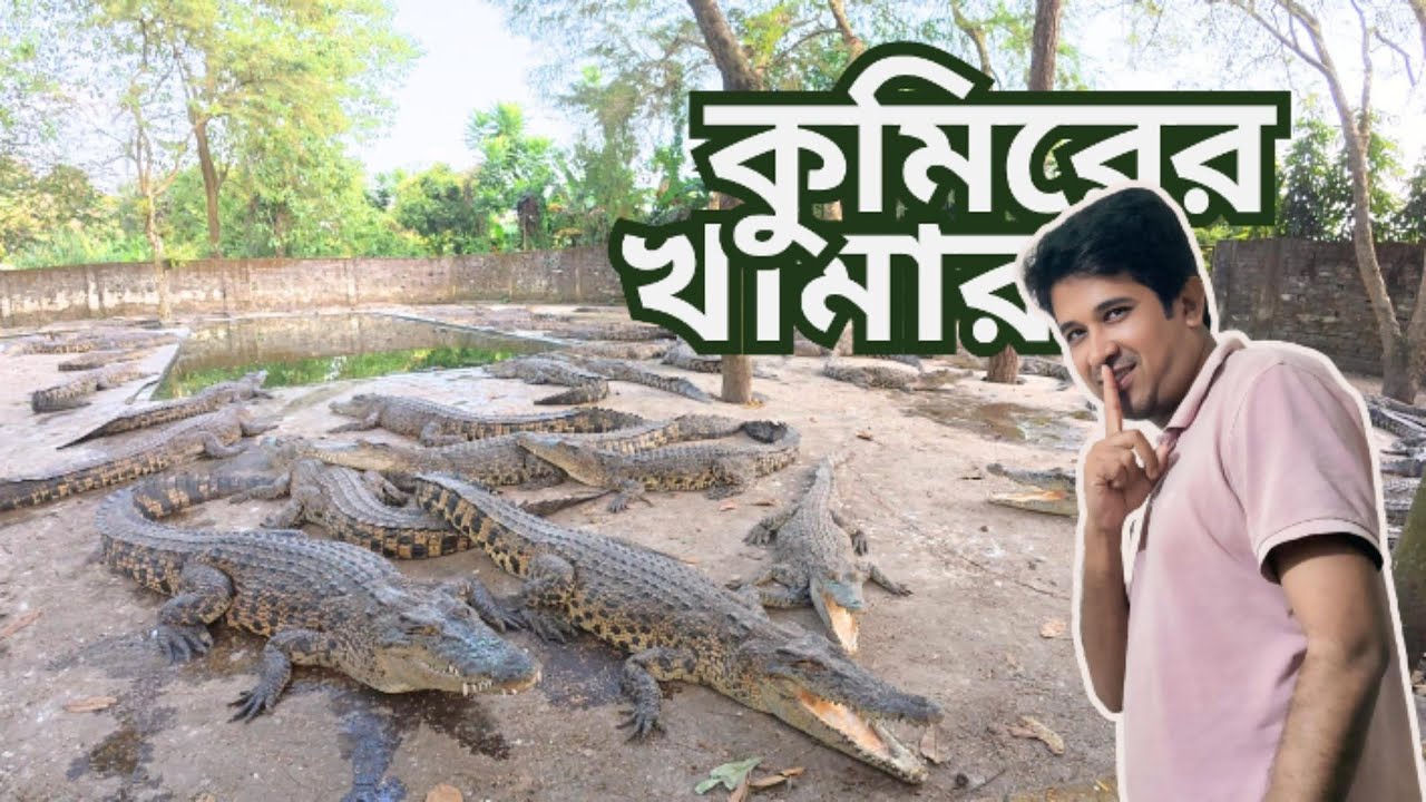 ময়মনসিংহ কুমিরের খামার এখন সবার জন্য উন্মুক্ত || Crocodile Farm Mymensingh || কুমিরের খামার