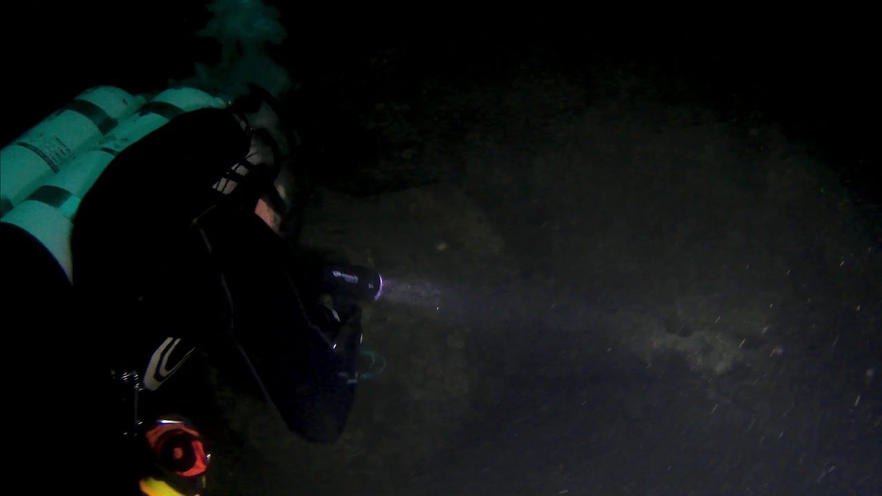 SMS Brummer Wreck Dive (Scapa Flow, Orkney, Scotland)