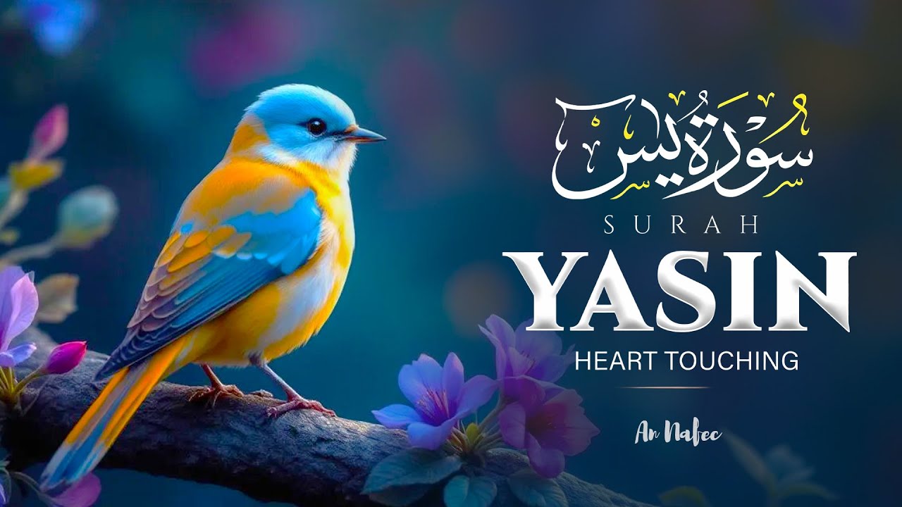 Sleep Peacefully with Surah Yasin | Soothing Quran Recitation to Heal Your Heart | #lofiquran