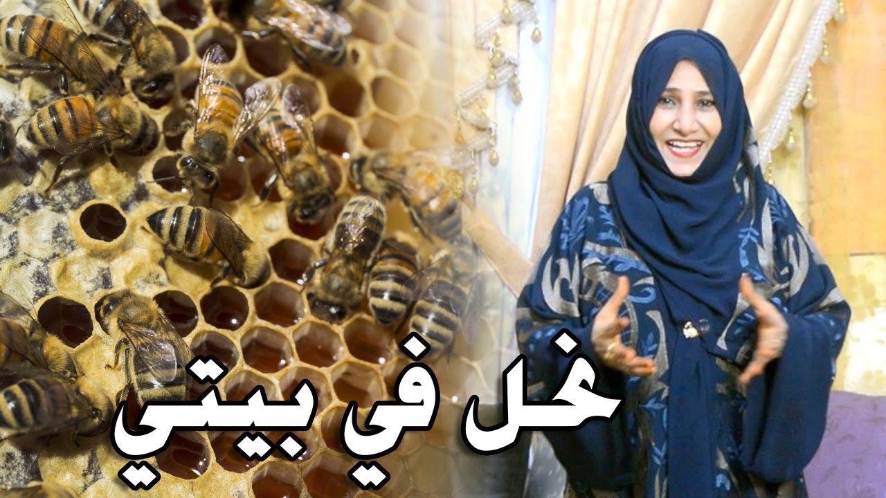 نحل كثير في بيتي 😳  | أجمل هدية لي من ربي  😍
