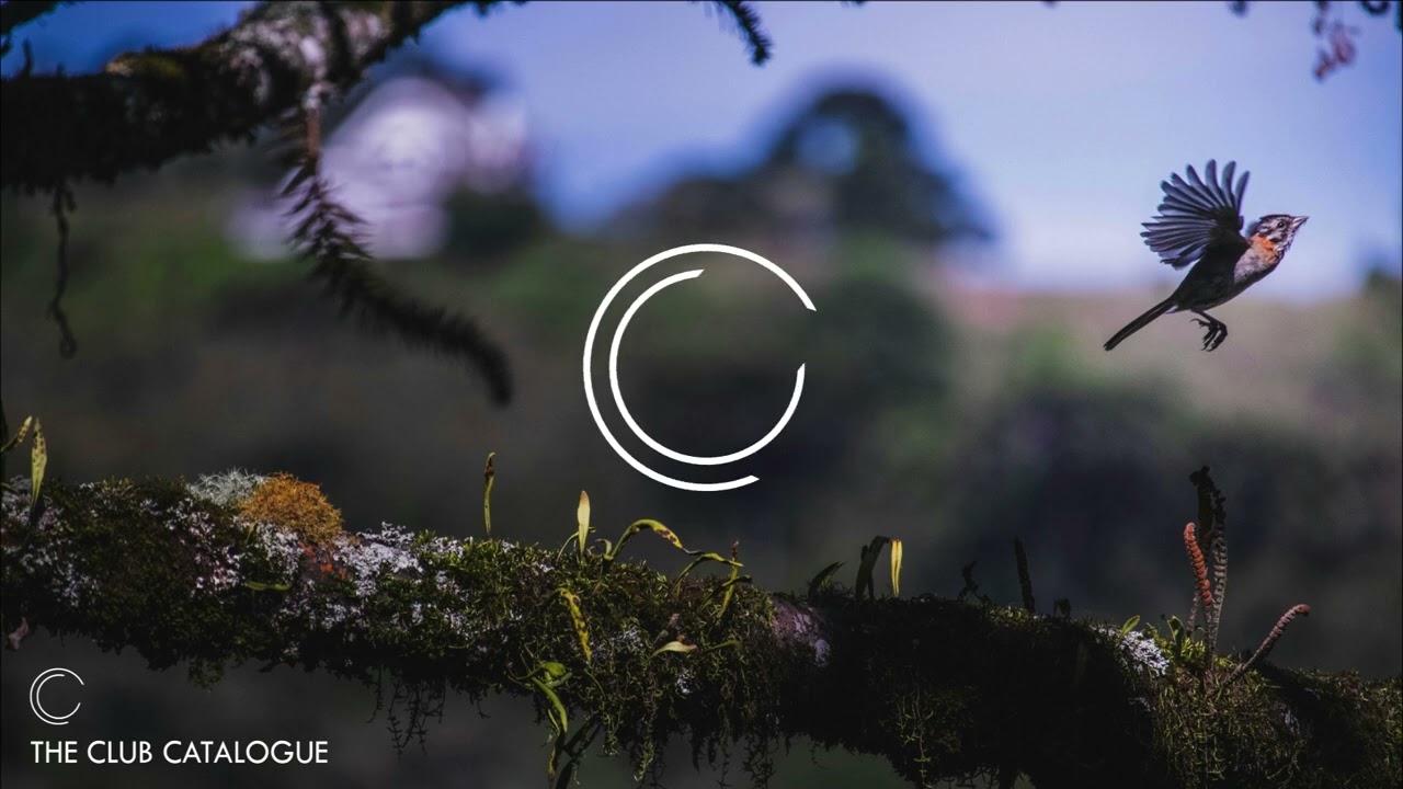 Tim Hanmann - City Glow (Extented Mix) [RADHAM Records]