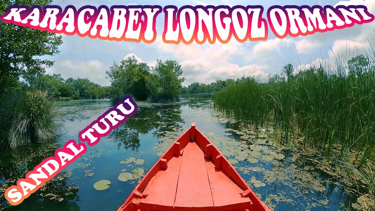 Karacabey Longoz Ormanları / Sandal Turu
