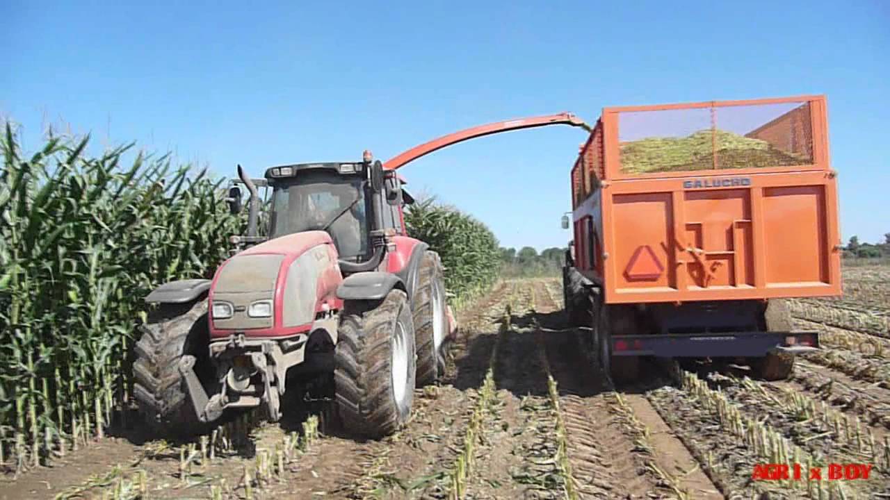 Kemper Champion silage 