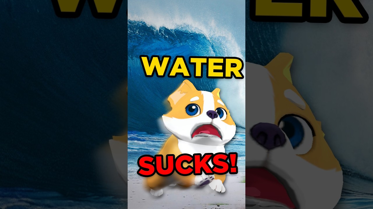 How WATER almost BROKE our Alpha test #gamedev #indiedev