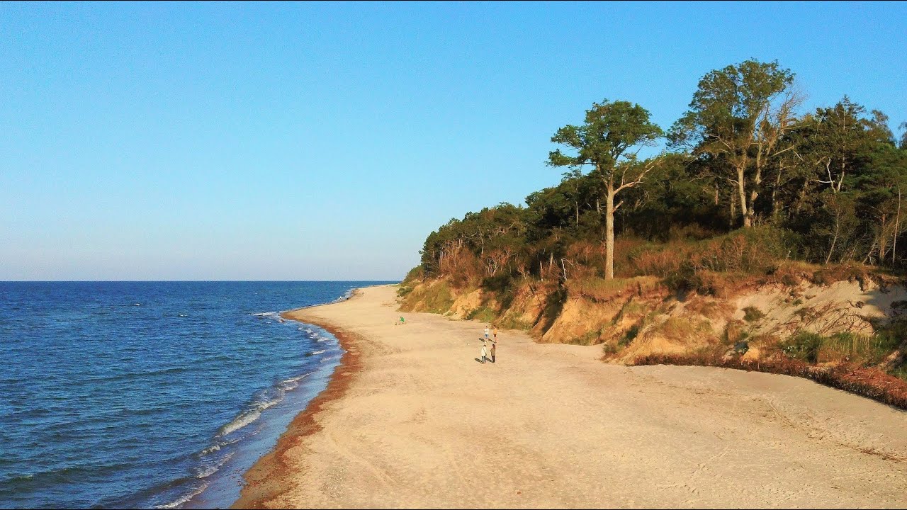 Pleśna