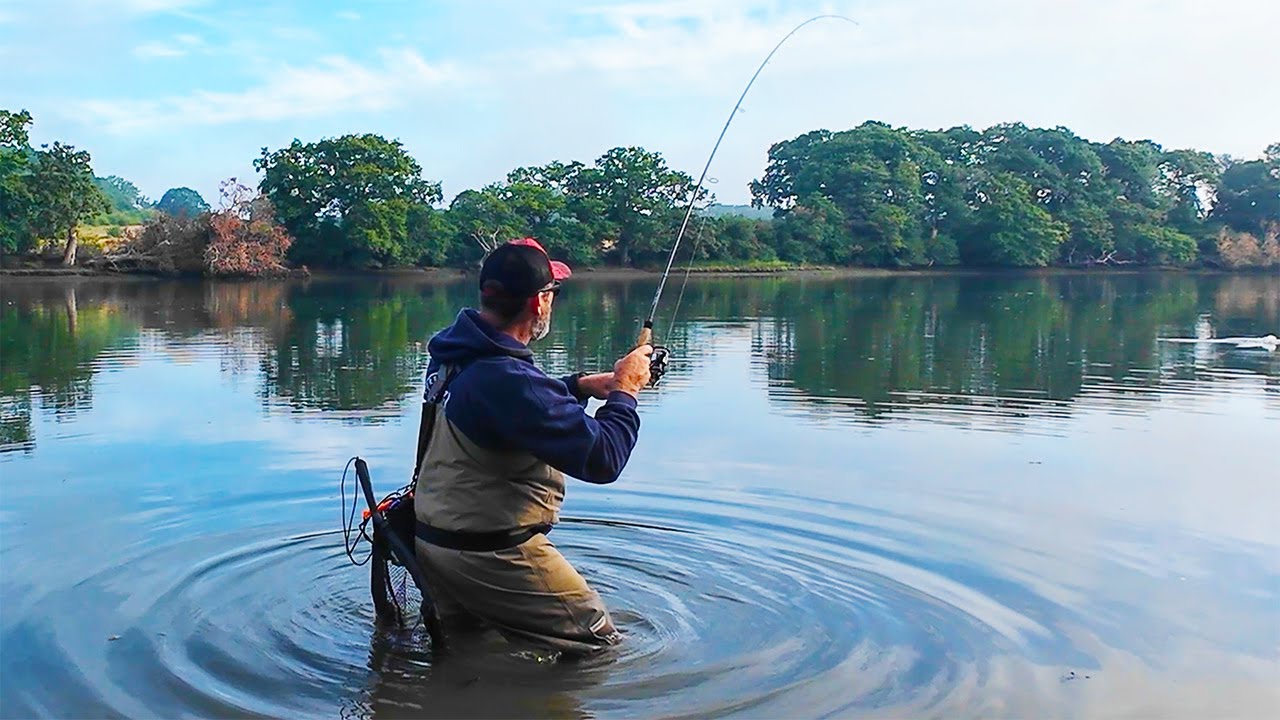 Catch MORE Bass In Autumn With This ONE Method