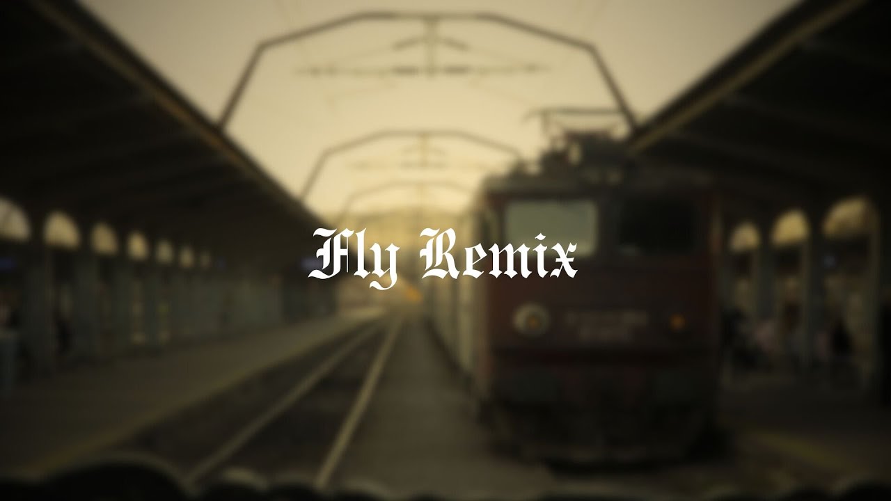 Alan Walker - Fly REMIX