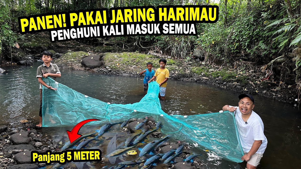 AUTO PANEN? SESER KALI PAKAI JARING MACAN 5 METER IKAN PADA MASUK SEMUA