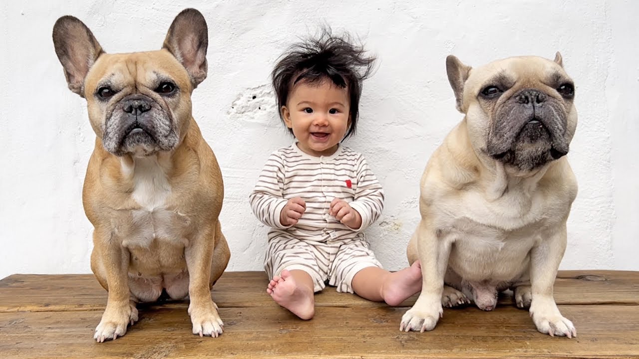 Surprising Our Baby And Dogs With An Island Vacation - Part 1