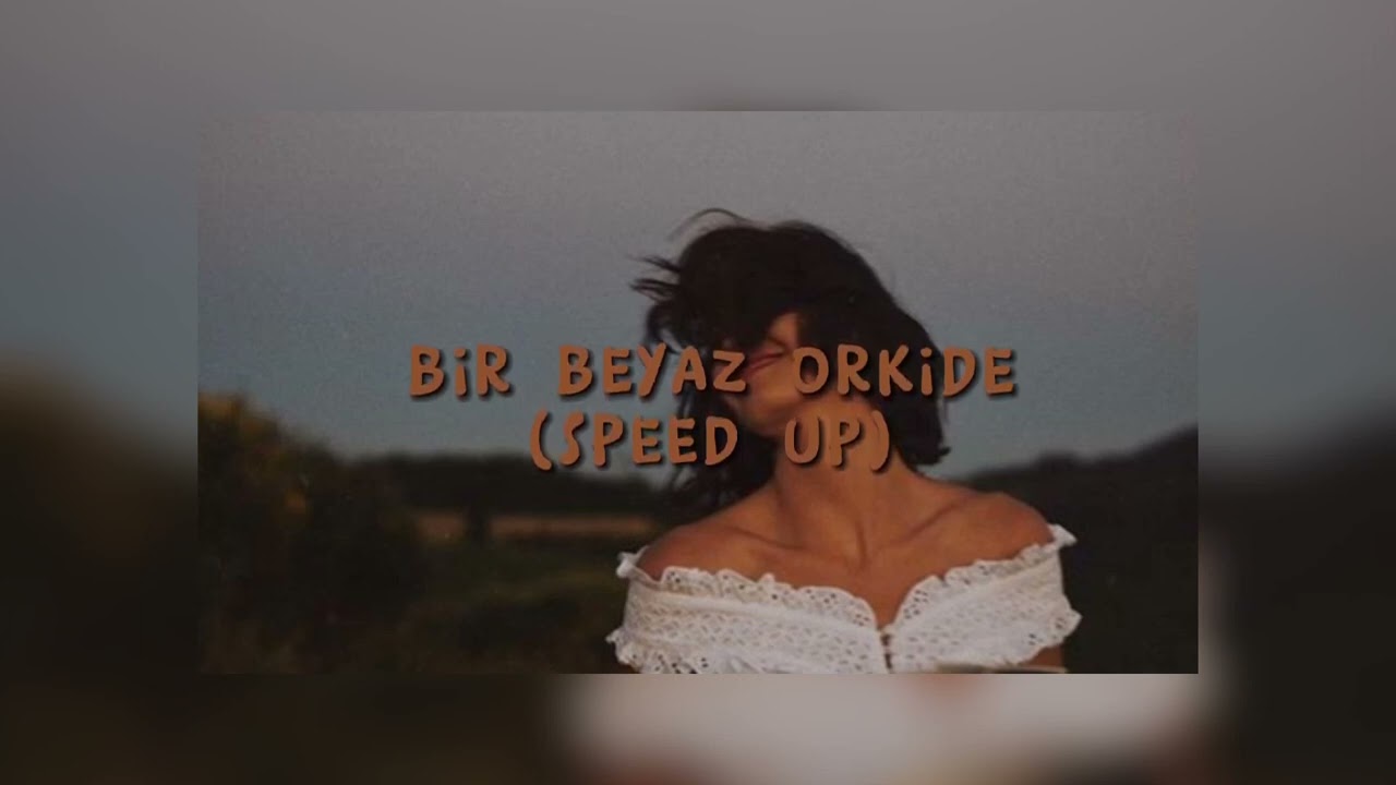 bir beyaz orkide (kimde kalır kabukları) speed up