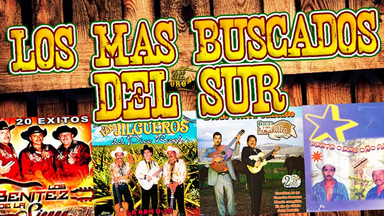 Duetos De Guerrero - Dueto Los Armadillos, Dueto Los Dos Amigos, Dueto Los Tecolotes, Dueto Del Sur