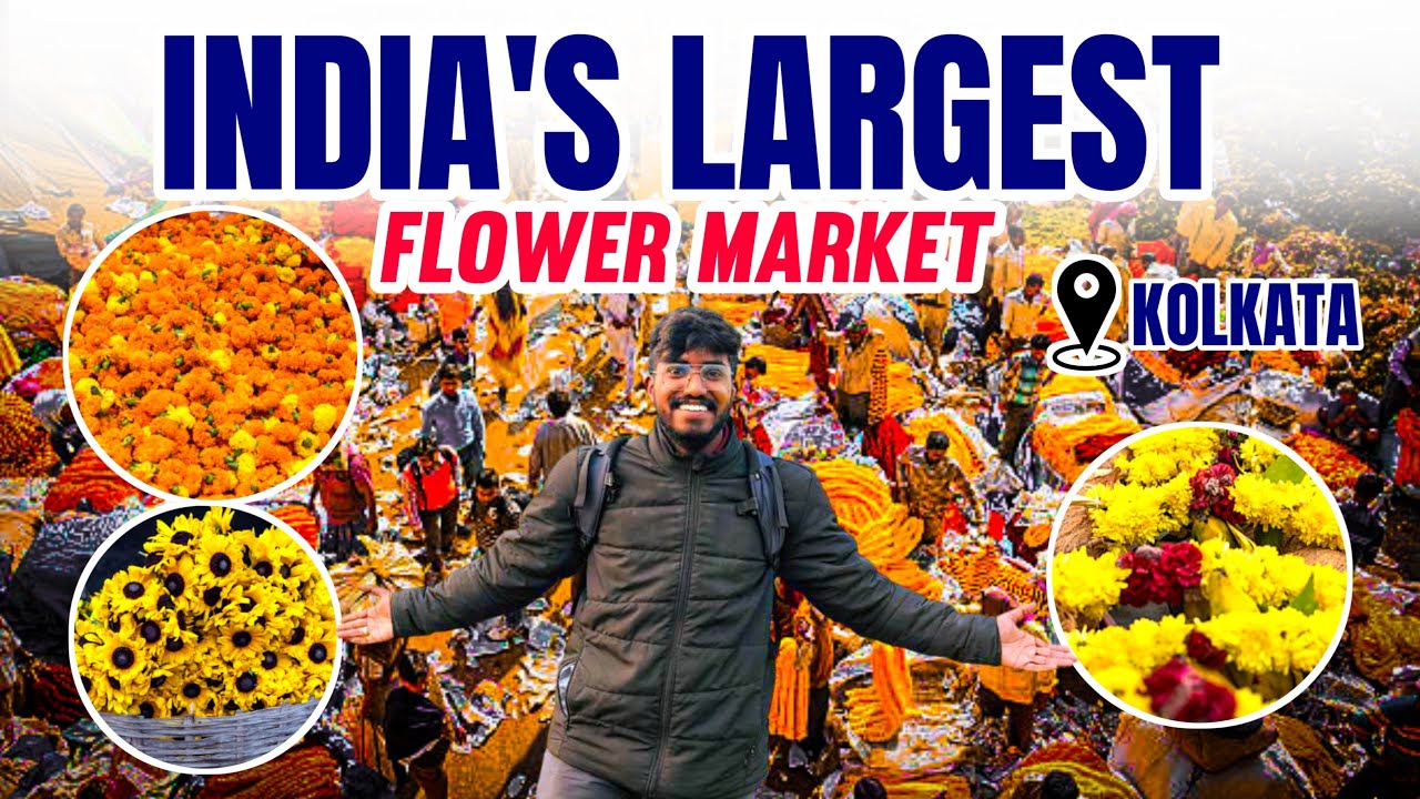 India&rsquo;s Biggest Flower Market 🌸 🔥| AgroTill | Exploring the Vibrant Mallik Ghat, Kolkata!&rdquo;